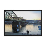 Feeding Swans in the Vltava River in Prague