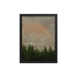 Rainbow over a tree line in North Carolina forest