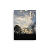 Photo of the sky in Pittsboro North Carolina
