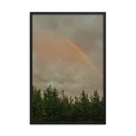 Rainbow over a tree line in North Carolina forest