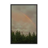 Rainbow over a tree line in North Carolina forest