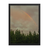 Rainbow over a tree line in North Carolina forest