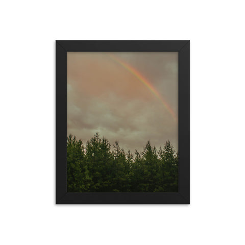 Rainbow over a tree line in North Carolina forest