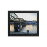 Feeding Swans in the Vltava River in Prague