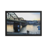 Feeding Swans in the Vltava River in Prague