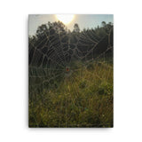 Wall art of Spider web In North Carolina