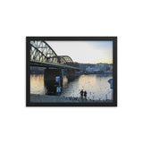 Feeding Swans in the Vltava River in Prague