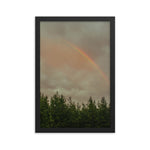 Rainbow over a tree line in North Carolina forest