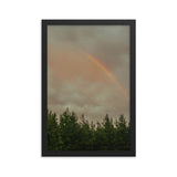 Rainbow over a tree line in North Carolina forest