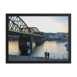 Feeding Swans in the Vltava River in Prague