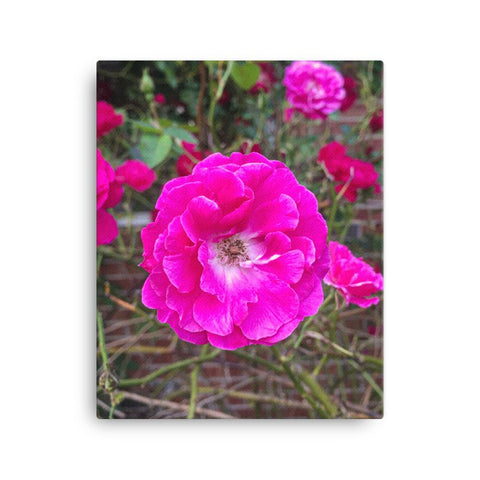 Flower blurred background