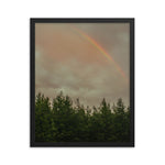 Rainbow over a tree line in North Carolina forest