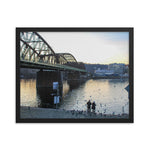 Feeding Swans in the Vltava River in Prague